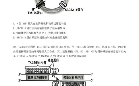福建省厦门市2024-2025学年高二下学期期末质量检测生物试卷_2025年7月_250711福建省厦门市2024-2025学年高二下学期期末质量检测（全科）