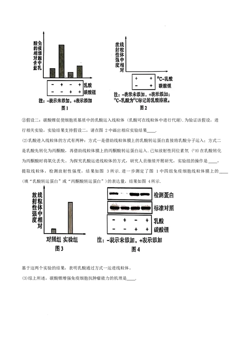福建省厦门市2024-2025学年高二下学期期末质量检测生物试卷_2025年7月_250711福建省厦门市2024-2025学年高二下学期期末质量检测（全科）