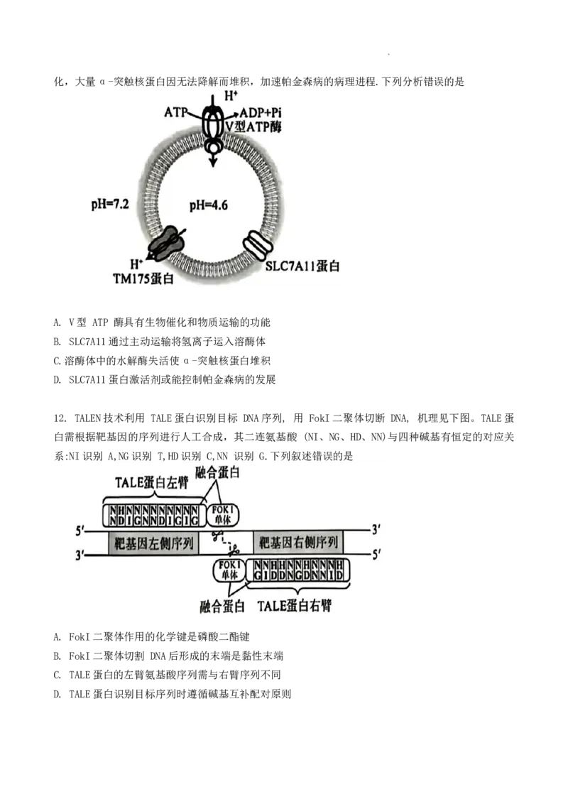 福建省厦门市2024-2025学年高二下学期期末质量检测生物试卷_2025年7月_250711福建省厦门市2024-2025学年高二下学期期末质量检测（全科）