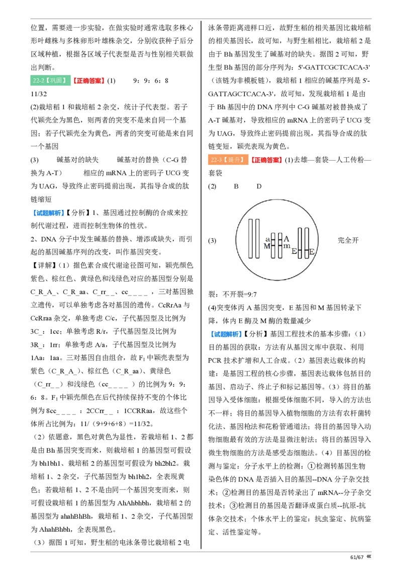 点石联考高三生物巩固卷A卷2025.12-答案_2025年12月_251221辽宁省点石联考2026届高三上学期12月联考考后巩固卷（全科）_高三生物A卷