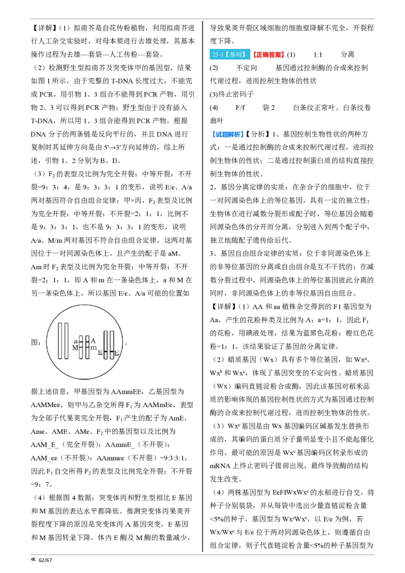 点石联考高三生物巩固卷A卷2025.12-答案_2025年12月_251221辽宁省点石联考2026届高三上学期12月联考考后巩固卷（全科）_高三生物A卷