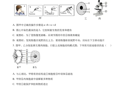精品解析：2023年山东省临沂市中考生物真题（原卷版）(1)_中考真题_8.生物中考真题2015-2024年_2023年全国中考生物7.20_精品解析：2023年山东省临沂市中考生物真题