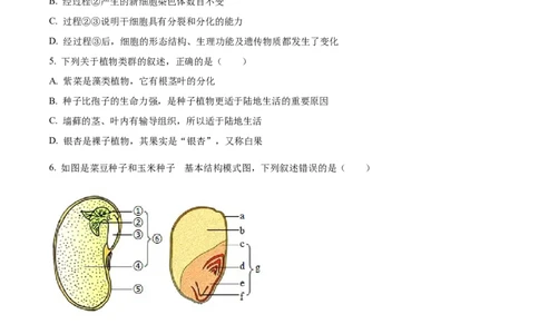 精品解析：2023年山东省临沂市中考生物真题（原卷版）(1)_中考真题_8.生物中考真题2015-2024年_2023年全国中考生物7.20_精品解析：2023年山东省临沂市中考生物真题