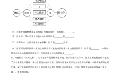 精品解析：2023年四川省南充市中考生物真题（原卷版）_中考真题_8.生物中考真题2015-2024年_2023年全国中考生物7.20_精品解析：2023年重庆市中考生物真题