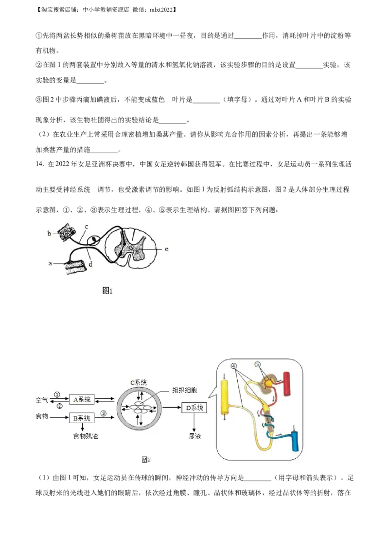 精品解析：2023年四川省南充市中考生物真题（原卷版）_中考真题_8.生物中考真题2015-2024年_2023年全国中考生物7.20_精品解析：2023年重庆市中考生物真题