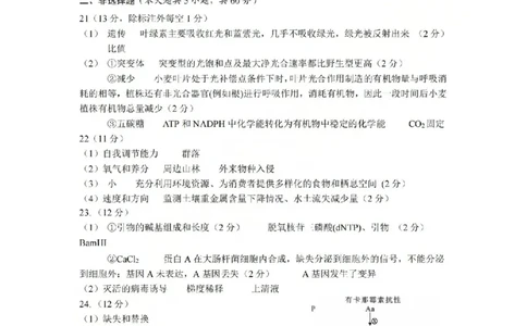 生物答案-2512诸暨诊断_2025年12月_251208浙江省诸暨市2025年12月高三诊断性考试（全科）