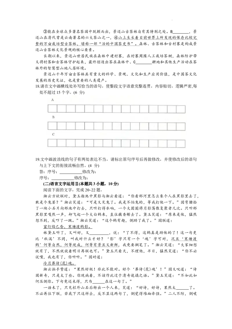 湖北省武汉市江岸区2023-2024学年高三上学期元月调考语文试卷_2024届湖北省武汉市江岸区高三上学期元月调考_湖北省武汉市江岸区2024届高三上学期元月调考语文