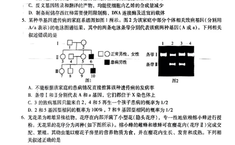 小渔生物试题(1)_2024届琢名小渔河北省高三年级质量监测考试_琢名小渔河北省2024届高三年级质量监测考试生物