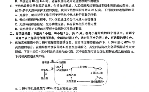 小渔生物试题(1)_2024届琢名小渔河北省高三年级质量监测考试_琢名小渔河北省2024届高三年级质量监测考试生物