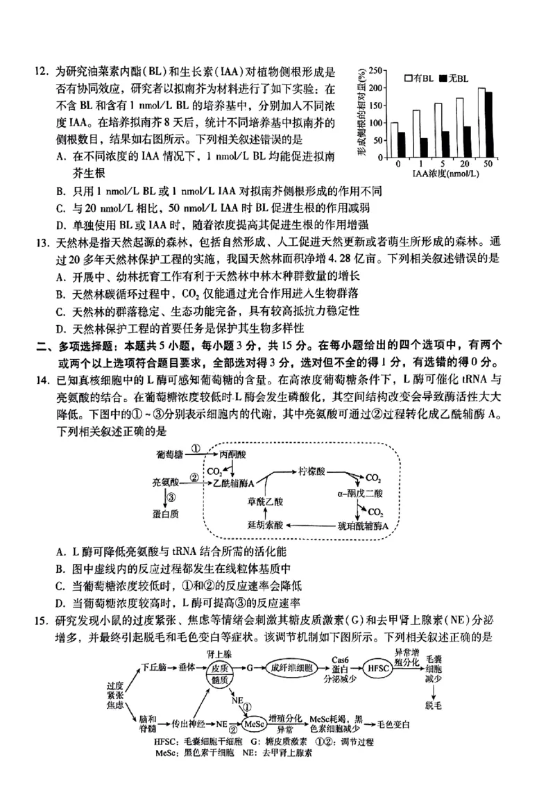 小渔生物试题(1)_2024届琢名小渔河北省高三年级质量监测考试_琢名小渔河北省2024届高三年级质量监测考试生物