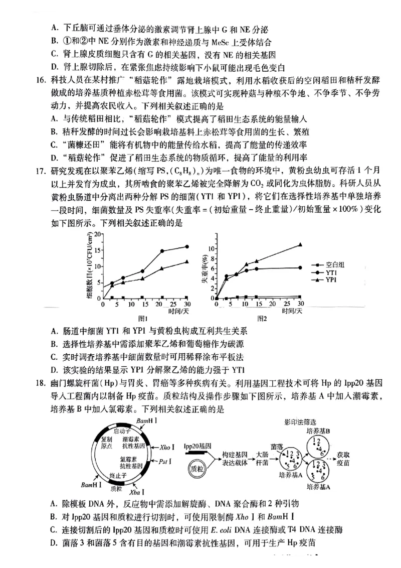 小渔生物试题(1)_2024届琢名小渔河北省高三年级质量监测考试_琢名小渔河北省2024届高三年级质量监测考试生物