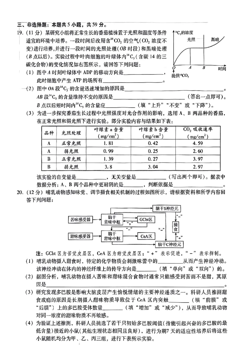 小渔生物试题(1)_2024届琢名小渔河北省高三年级质量监测考试_琢名小渔河北省2024届高三年级质量监测考试生物