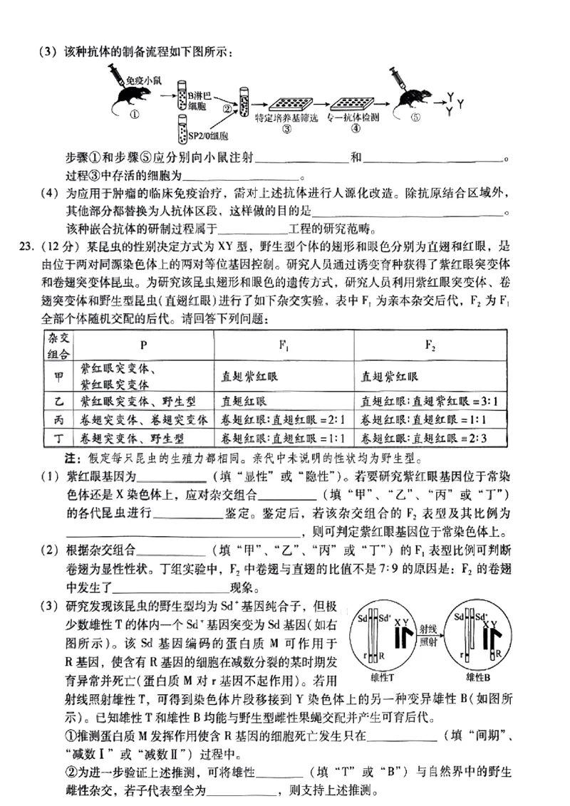 小渔生物试题(1)_2024届琢名小渔河北省高三年级质量监测考试_琢名小渔河北省2024届高三年级质量监测考试生物