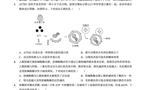 重庆实验外国语学校2025-2026学年度（上）高2026届11月月考（五）生物_251126重庆实验外国语学校2025-2026学年度（上）高2026届11月月考（五）（全科）
