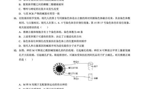 重庆实验外国语学校2025-2026学年度（上）高2026届11月月考（五）生物_251126重庆实验外国语学校2025-2026学年度（上）高2026届11月月考（五）（全科）