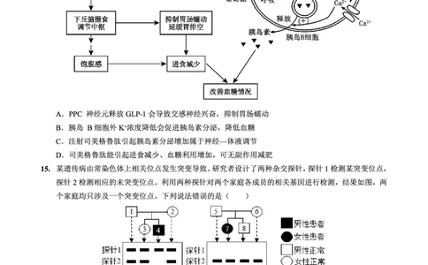 重庆实验外国语学校2025-2026学年度（上）高2026届11月月考（五）生物_251126重庆实验外国语学校2025-2026学年度（上）高2026届11月月考（五）（全科）