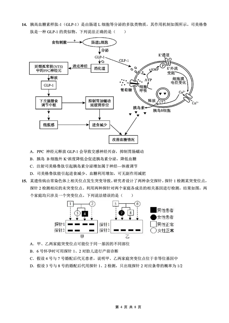 重庆实验外国语学校2025-2026学年度（上）高2026届11月月考（五）生物_251126重庆实验外国语学校2025-2026学年度（上）高2026届11月月考（五）（全科）