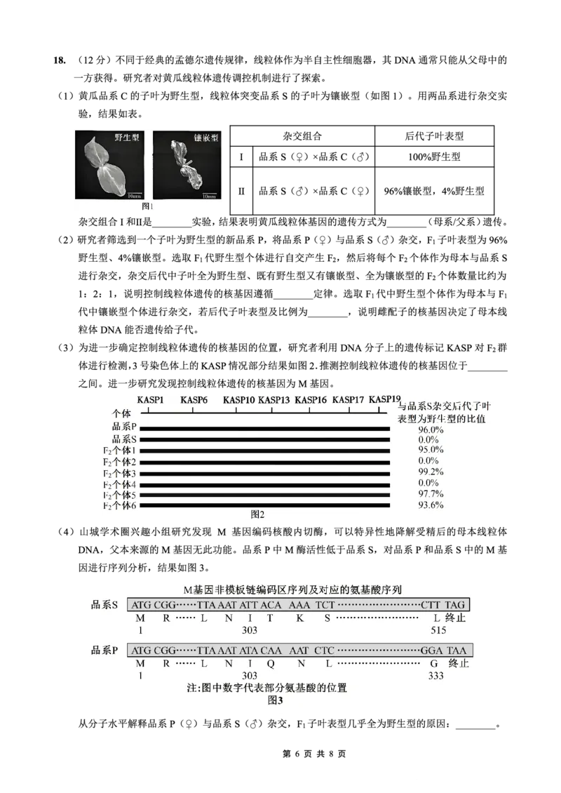 重庆实验外国语学校2025-2026学年度（上）高2026届11月月考（五）生物_251126重庆实验外国语学校2025-2026学年度（上）高2026届11月月考（五）（全科）
