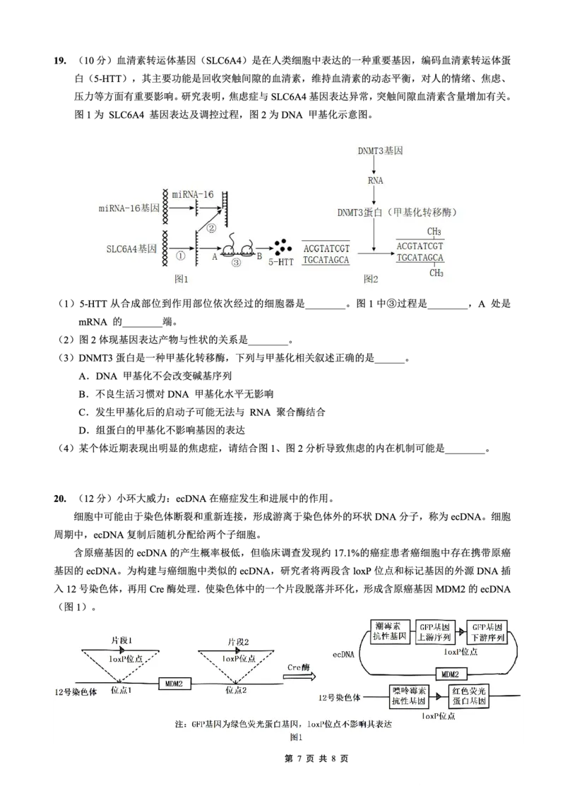 重庆实验外国语学校2025-2026学年度（上）高2026届11月月考（五）生物_251126重庆实验外国语学校2025-2026学年度（上）高2026届11月月考（五）（全科）