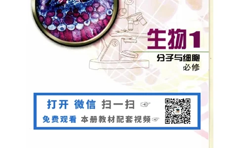 苏教版高中生物必修1《分子与细胞》电子课本_4-教培资料-26年最新资料-同步更新_初中高中教资_03科三专项（进去保存报考的学科即可）_112025高中科目（全）电子教材