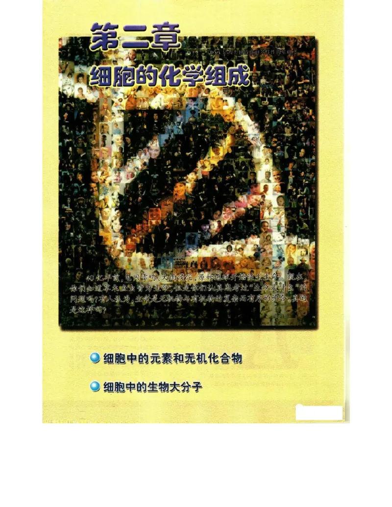 苏教版高中生物必修1《分子与细胞》电子课本_4-教培资料-26年最新资料-同步更新_初中高中教资_03科三专项（进去保存报考的学科即可）_112025高中科目（全）电子教材