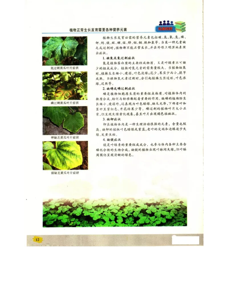 苏教版高中生物必修1《分子与细胞》电子课本_4-教培资料-26年最新资料-同步更新_初中高中教资_03科三专项（进去保存报考的学科即可）_112025高中科目（全）电子教材