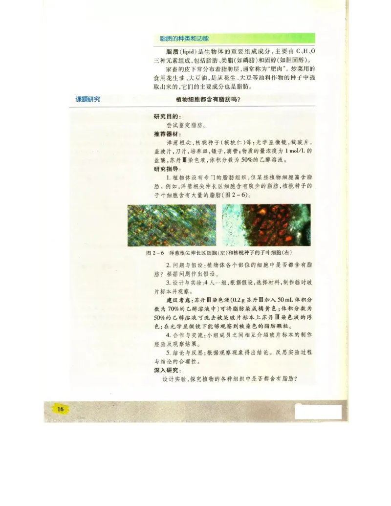 苏教版高中生物必修1《分子与细胞》电子课本_4-教培资料-26年最新资料-同步更新_初中高中教资_03科三专项（进去保存报考的学科即可）_112025高中科目（全）电子教材