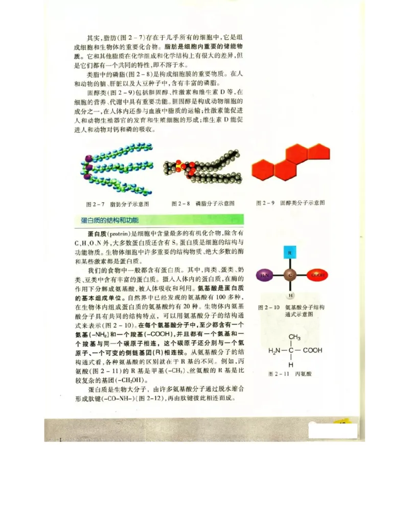 苏教版高中生物必修1《分子与细胞》电子课本_4-教培资料-26年最新资料-同步更新_初中高中教资_03科三专项（进去保存报考的学科即可）_112025高中科目（全）电子教材