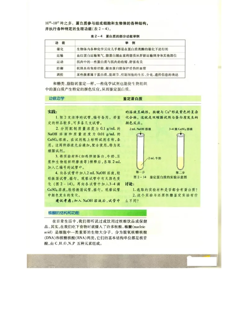 苏教版高中生物必修1《分子与细胞》电子课本_4-教培资料-26年最新资料-同步更新_初中高中教资_03科三专项（进去保存报考的学科即可）_112025高中科目（全）电子教材