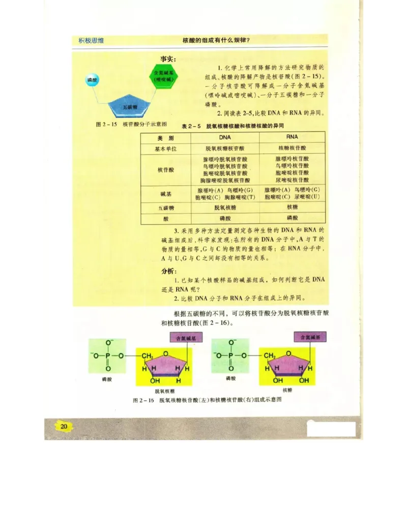 苏教版高中生物必修1《分子与细胞》电子课本_4-教培资料-26年最新资料-同步更新_初中高中教资_03科三专项（进去保存报考的学科即可）_112025高中科目（全）电子教材