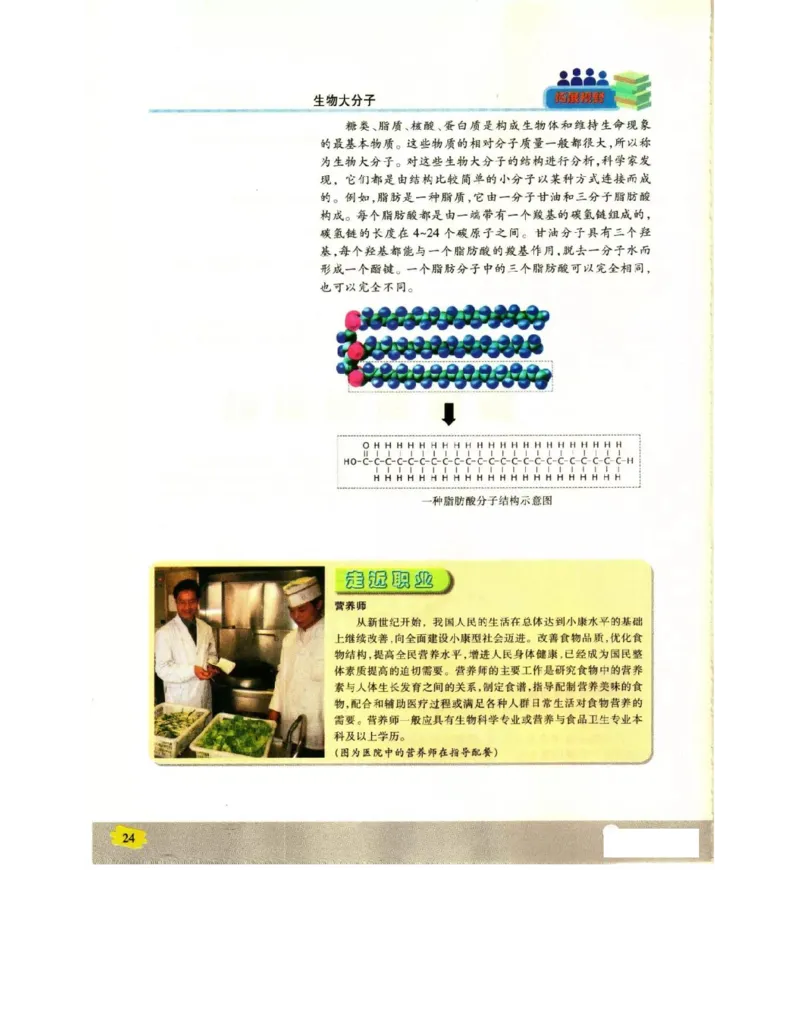 苏教版高中生物必修1《分子与细胞》电子课本_4-教培资料-26年最新资料-同步更新_初中高中教资_03科三专项（进去保存报考的学科即可）_112025高中科目（全）电子教材