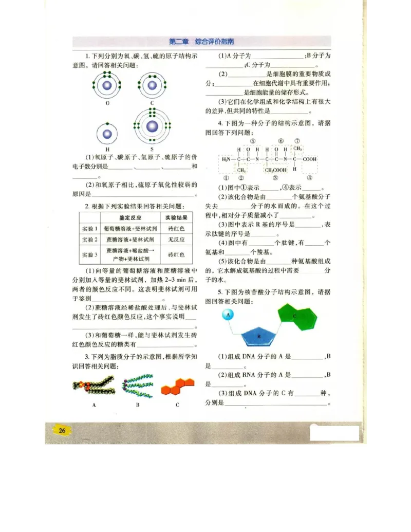 苏教版高中生物必修1《分子与细胞》电子课本_4-教培资料-26年最新资料-同步更新_初中高中教资_03科三专项（进去保存报考的学科即可）_112025高中科目（全）电子教材