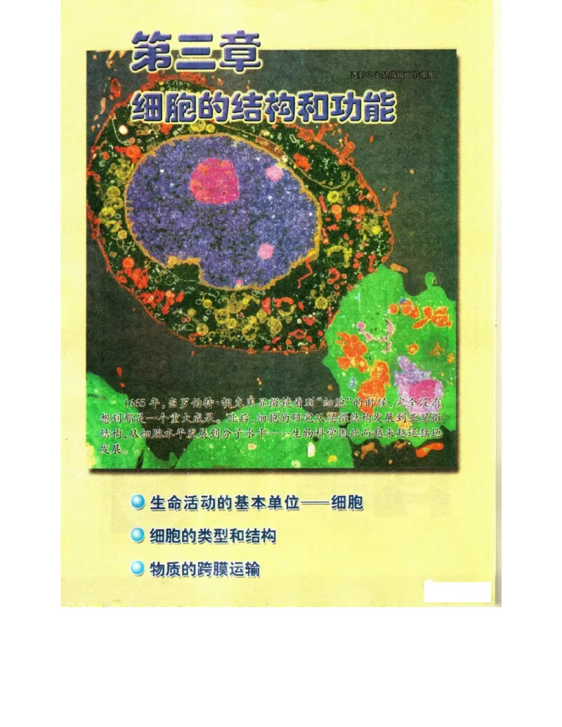 苏教版高中生物必修1《分子与细胞》电子课本_4-教培资料-26年最新资料-同步更新_初中高中教资_03科三专项（进去保存报考的学科即可）_112025高中科目（全）电子教材
