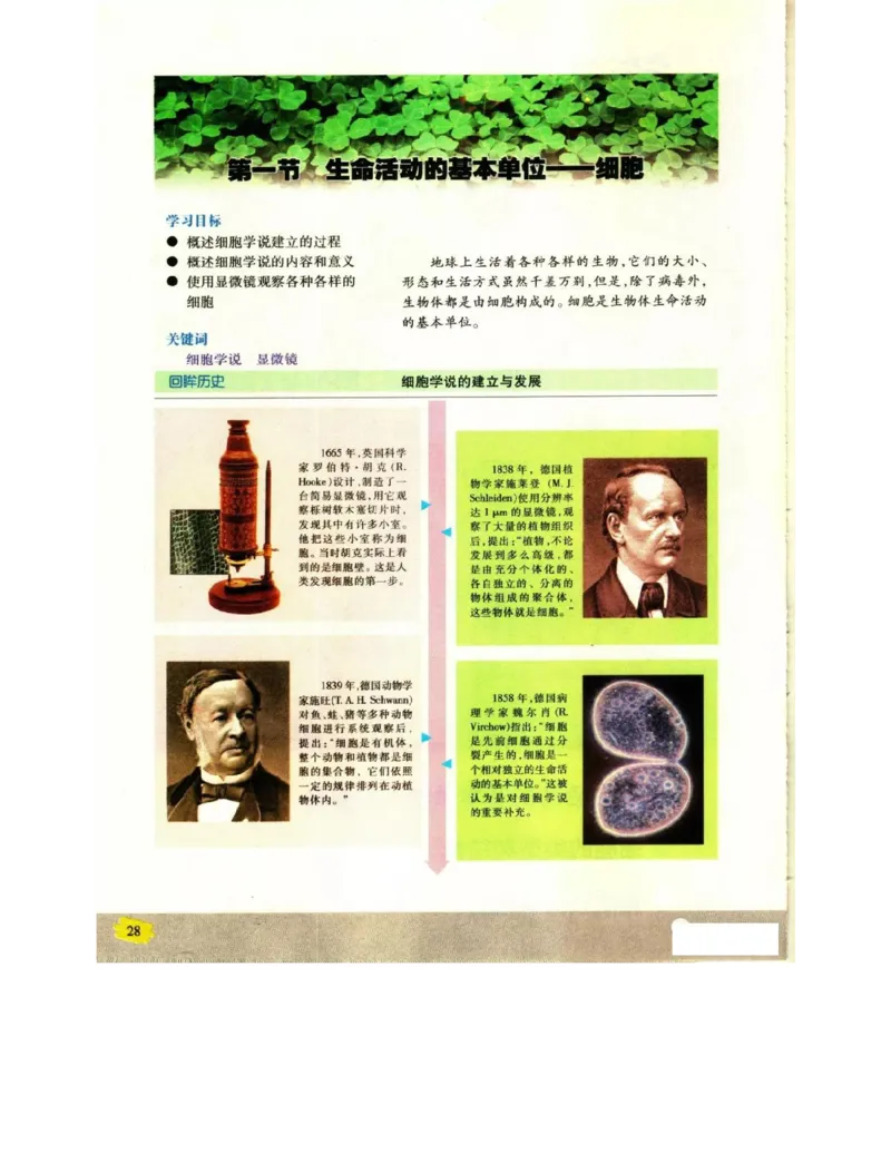 苏教版高中生物必修1《分子与细胞》电子课本_4-教培资料-26年最新资料-同步更新_初中高中教资_03科三专项（进去保存报考的学科即可）_112025高中科目（全）电子教材