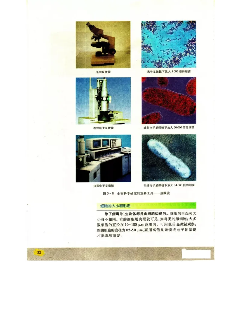 苏教版高中生物必修1《分子与细胞》电子课本_4-教培资料-26年最新资料-同步更新_初中高中教资_03科三专项（进去保存报考的学科即可）_112025高中科目（全）电子教材