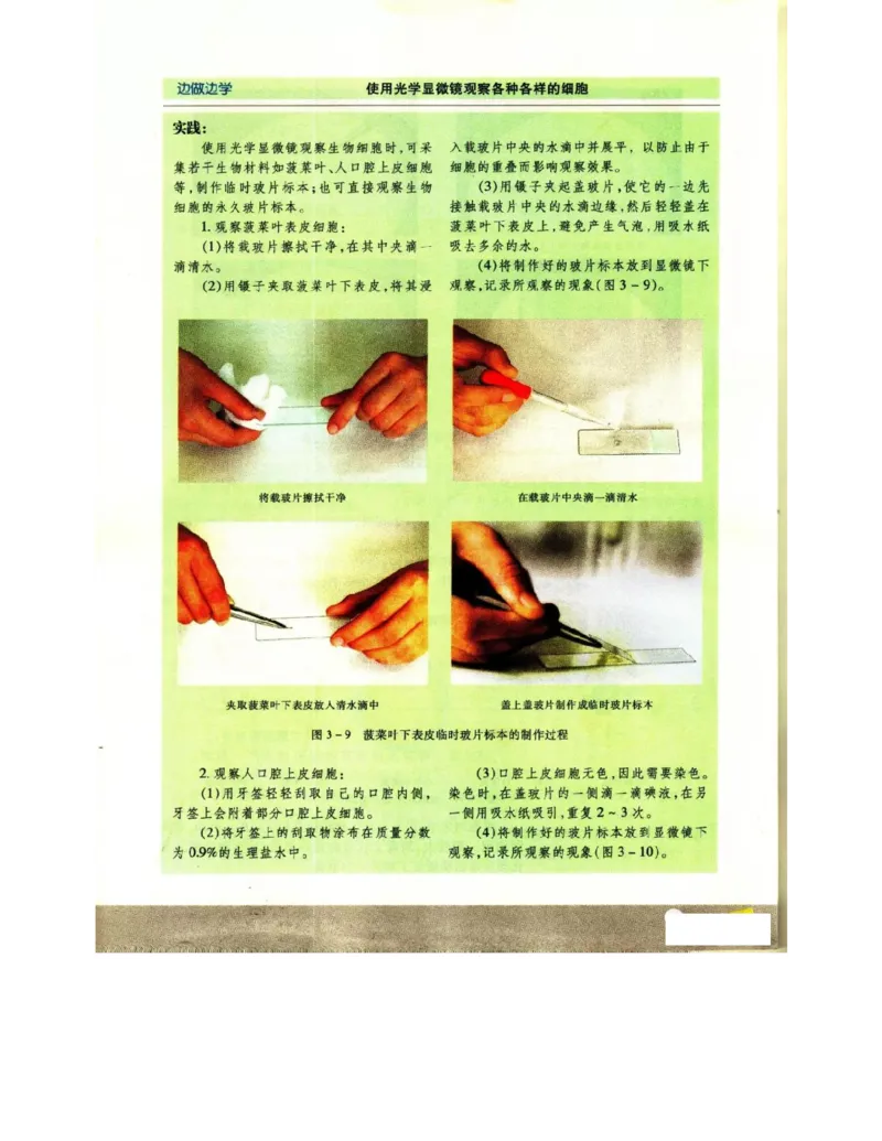 苏教版高中生物必修1《分子与细胞》电子课本_4-教培资料-26年最新资料-同步更新_初中高中教资_03科三专项（进去保存报考的学科即可）_112025高中科目（全）电子教材