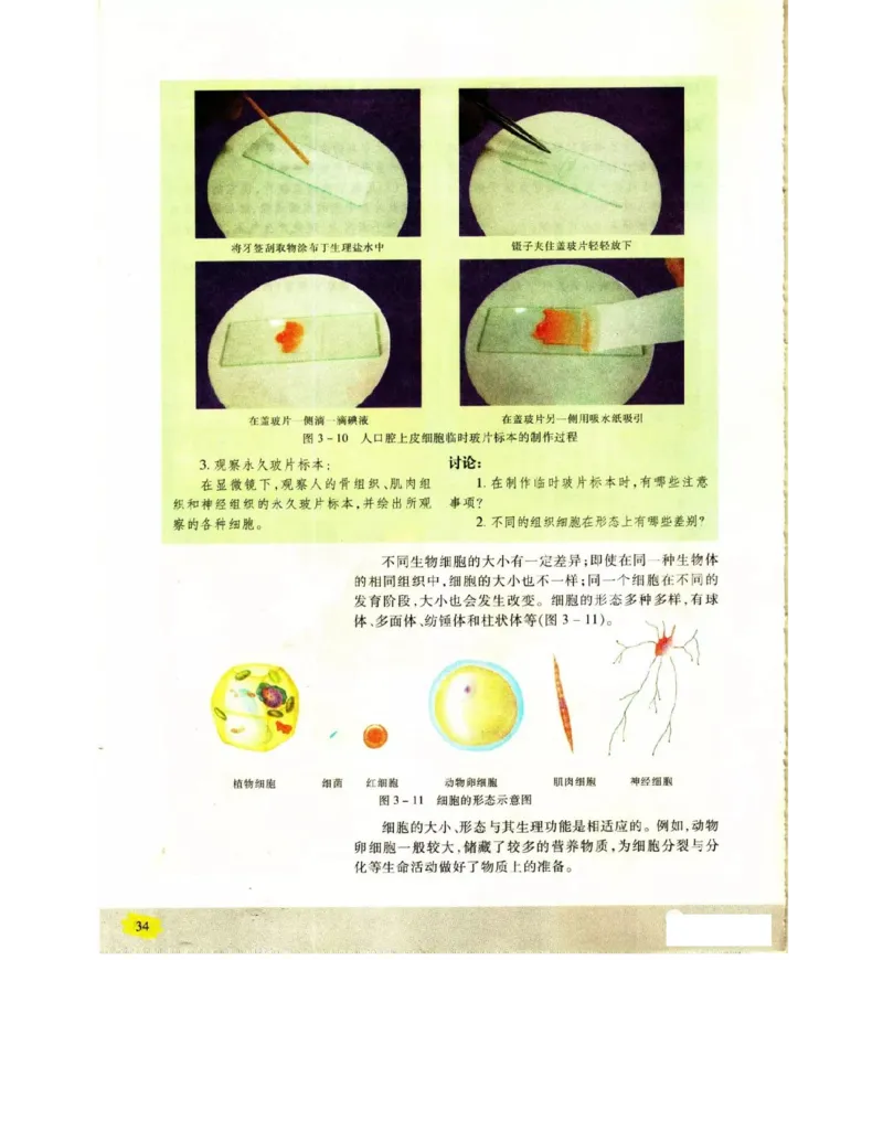 苏教版高中生物必修1《分子与细胞》电子课本_4-教培资料-26年最新资料-同步更新_初中高中教资_03科三专项（进去保存报考的学科即可）_112025高中科目（全）电子教材