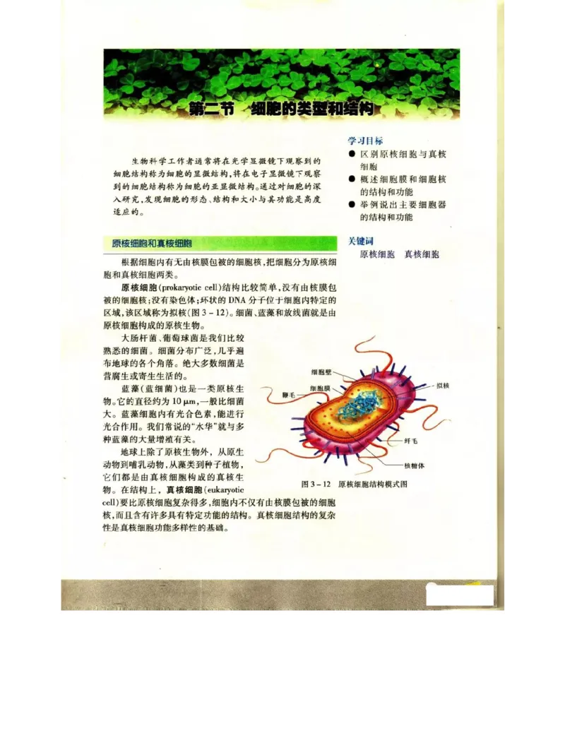 苏教版高中生物必修1《分子与细胞》电子课本_4-教培资料-26年最新资料-同步更新_初中高中教资_03科三专项（进去保存报考的学科即可）_112025高中科目（全）电子教材