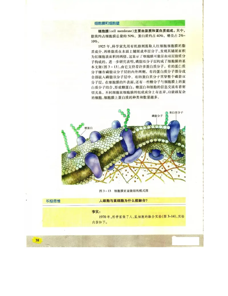 苏教版高中生物必修1《分子与细胞》电子课本_4-教培资料-26年最新资料-同步更新_初中高中教资_03科三专项（进去保存报考的学科即可）_112025高中科目（全）电子教材