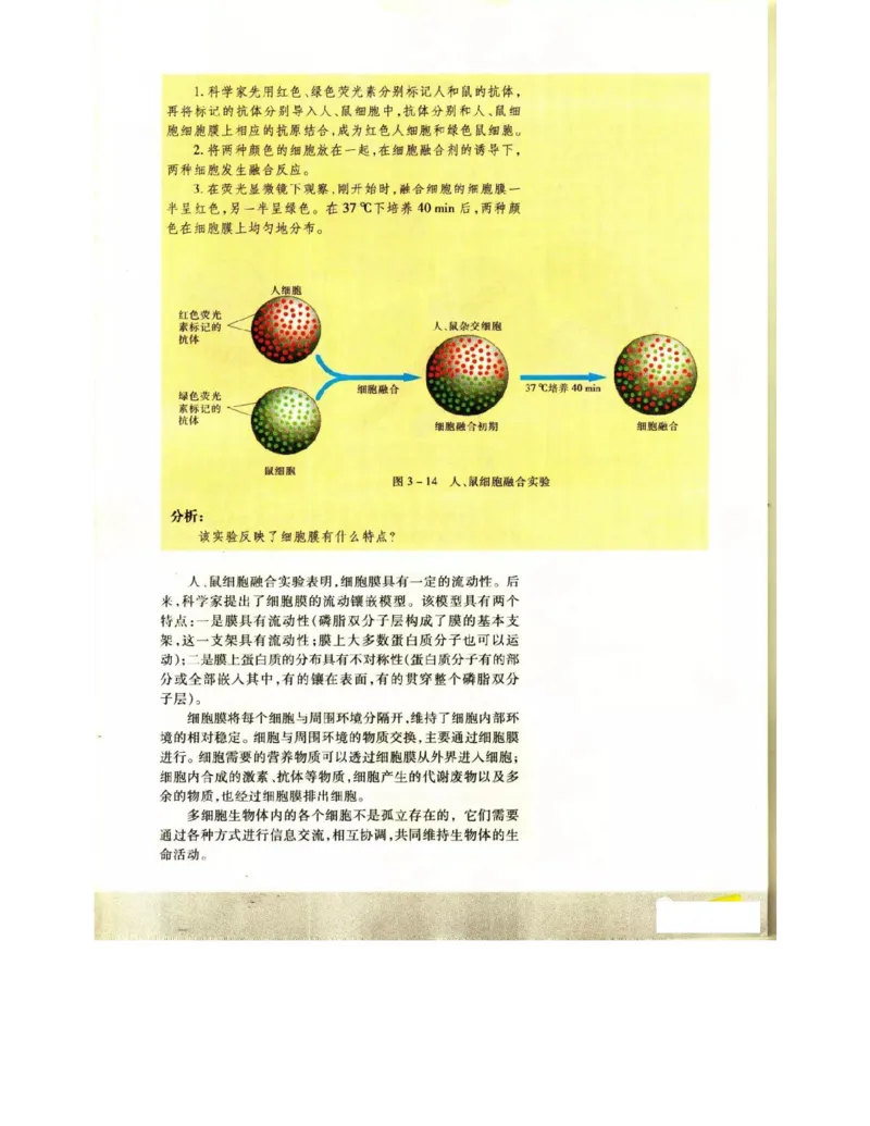 苏教版高中生物必修1《分子与细胞》电子课本_4-教培资料-26年最新资料-同步更新_初中高中教资_03科三专项（进去保存报考的学科即可）_112025高中科目（全）电子教材