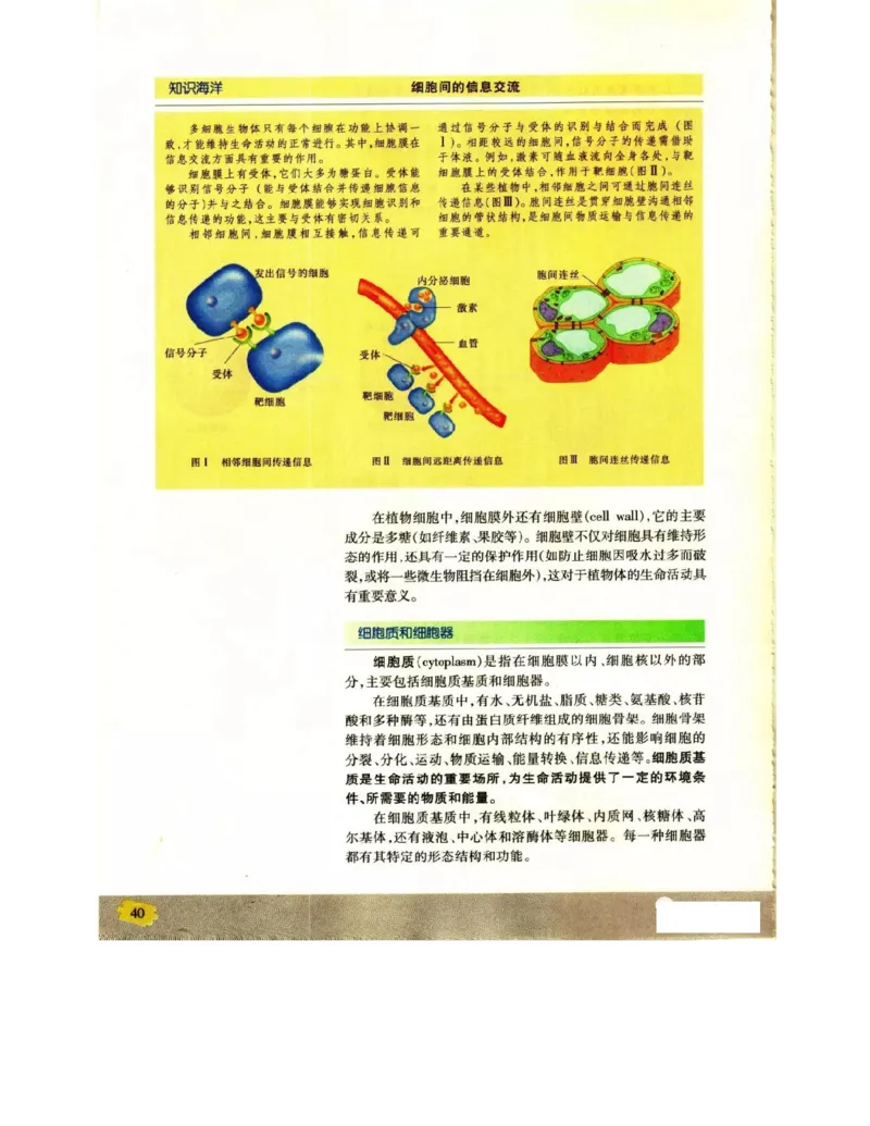 苏教版高中生物必修1《分子与细胞》电子课本_4-教培资料-26年最新资料-同步更新_初中高中教资_03科三专项（进去保存报考的学科即可）_112025高中科目（全）电子教材