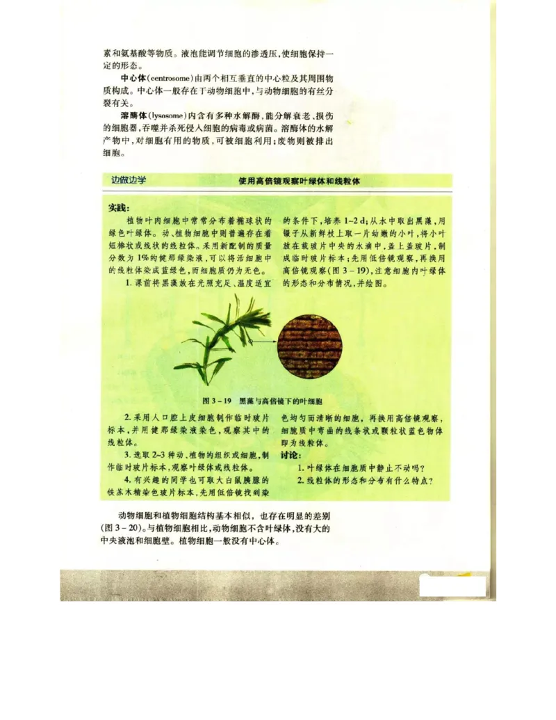 苏教版高中生物必修1《分子与细胞》电子课本_4-教培资料-26年最新资料-同步更新_初中高中教资_03科三专项（进去保存报考的学科即可）_112025高中科目（全）电子教材