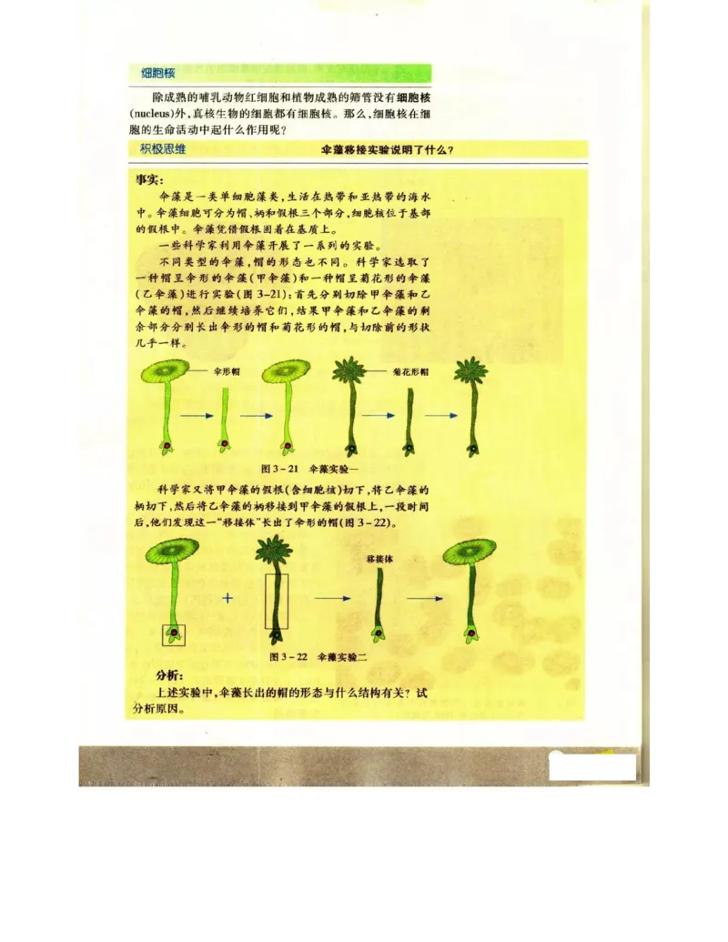 苏教版高中生物必修1《分子与细胞》电子课本_4-教培资料-26年最新资料-同步更新_初中高中教资_03科三专项（进去保存报考的学科即可）_112025高中科目（全）电子教材