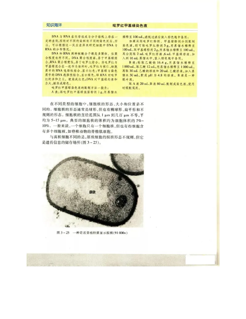 苏教版高中生物必修1《分子与细胞》电子课本_4-教培资料-26年最新资料-同步更新_初中高中教资_03科三专项（进去保存报考的学科即可）_112025高中科目（全）电子教材