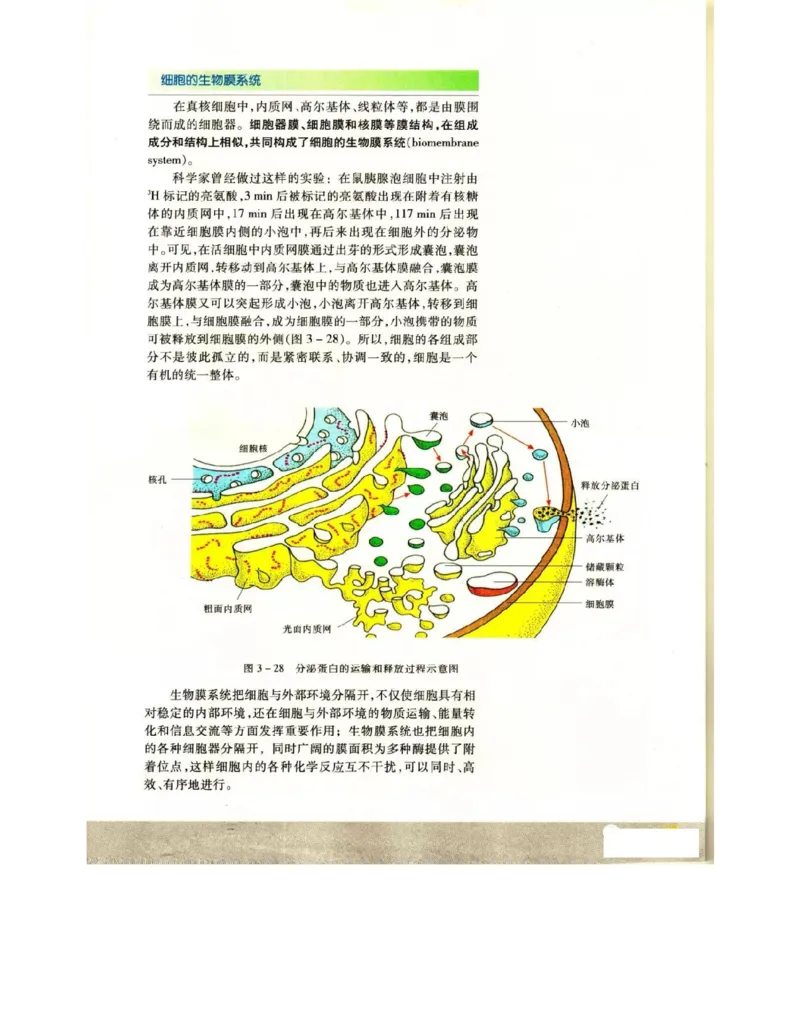 苏教版高中生物必修1《分子与细胞》电子课本_4-教培资料-26年最新资料-同步更新_初中高中教资_03科三专项（进去保存报考的学科即可）_112025高中科目（全）电子教材