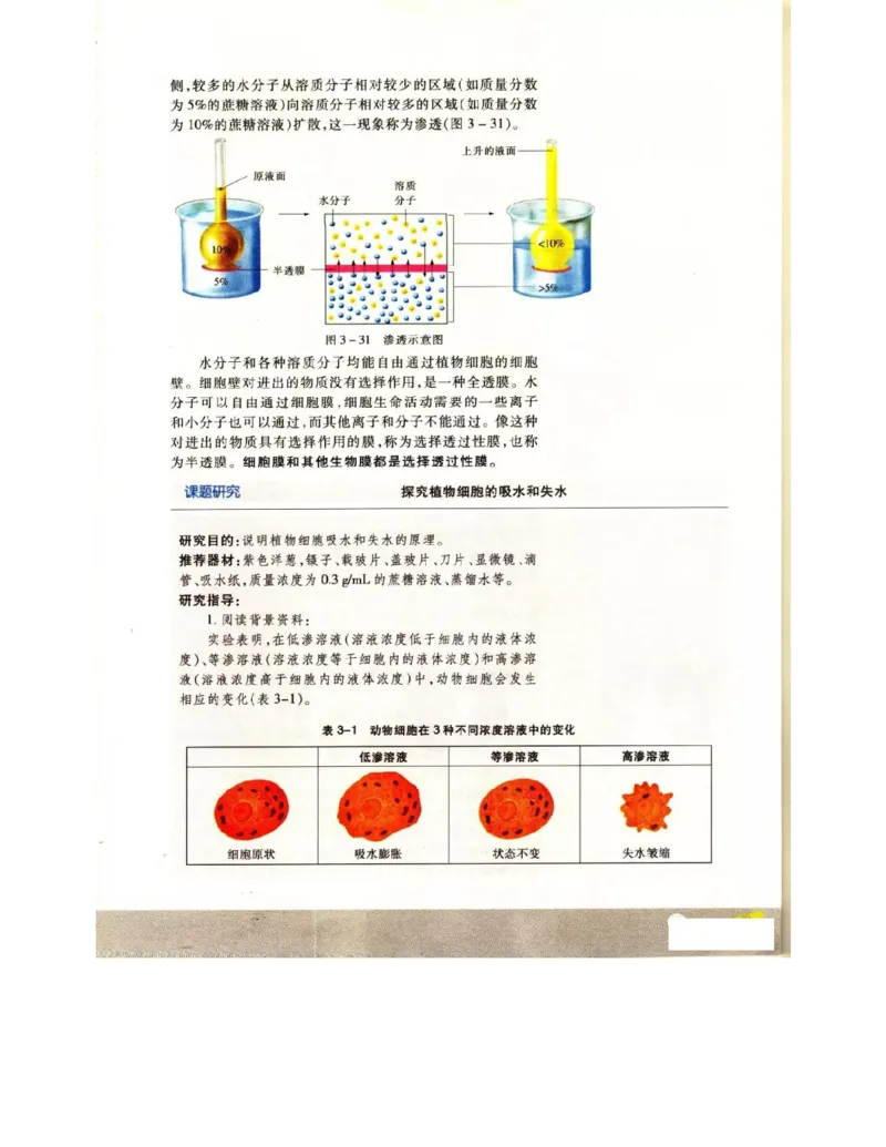 苏教版高中生物必修1《分子与细胞》电子课本_4-教培资料-26年最新资料-同步更新_初中高中教资_03科三专项（进去保存报考的学科即可）_112025高中科目（全）电子教材