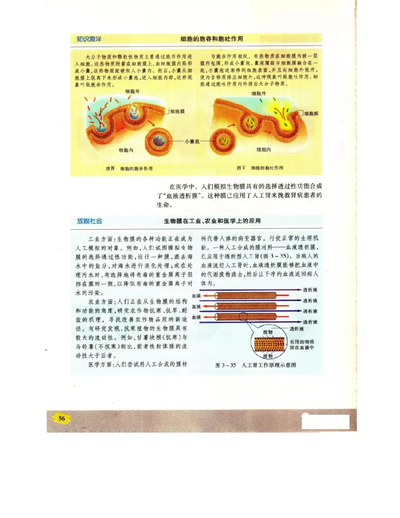 苏教版高中生物必修1《分子与细胞》电子课本_4-教培资料-26年最新资料-同步更新_初中高中教资_03科三专项（进去保存报考的学科即可）_112025高中科目（全）电子教材