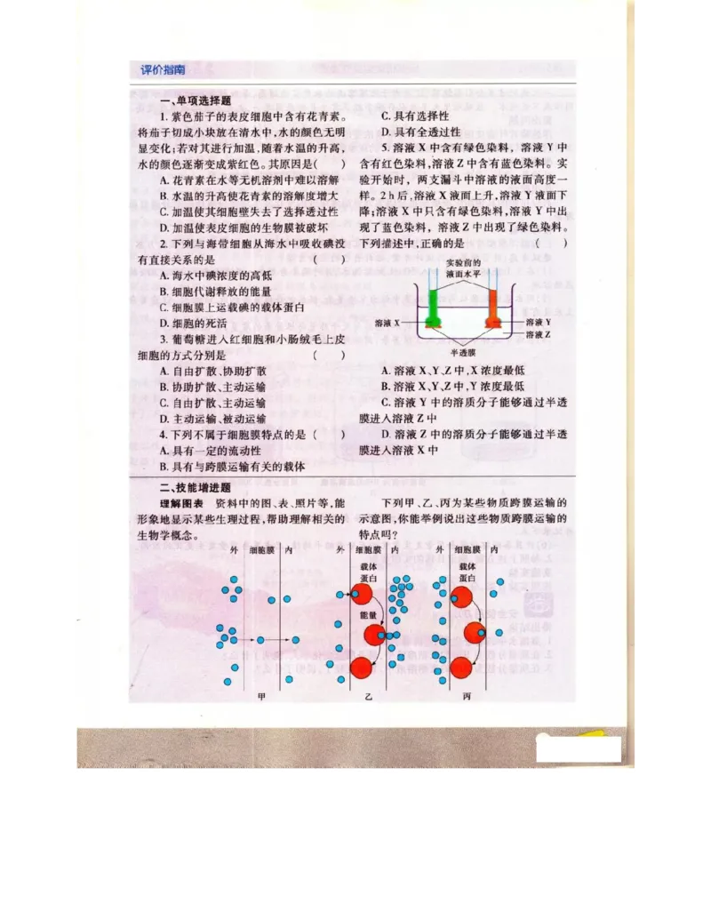 苏教版高中生物必修1《分子与细胞》电子课本_4-教培资料-26年最新资料-同步更新_初中高中教资_03科三专项（进去保存报考的学科即可）_112025高中科目（全）电子教材