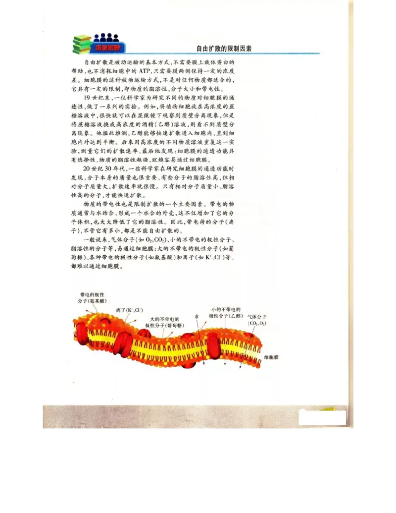 苏教版高中生物必修1《分子与细胞》电子课本_4-教培资料-26年最新资料-同步更新_初中高中教资_03科三专项（进去保存报考的学科即可）_112025高中科目（全）电子教材