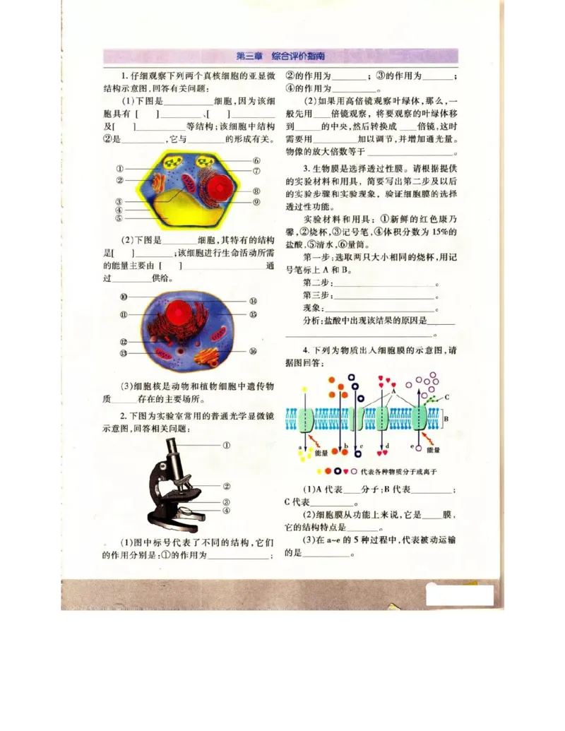 苏教版高中生物必修1《分子与细胞》电子课本_4-教培资料-26年最新资料-同步更新_初中高中教资_03科三专项（进去保存报考的学科即可）_112025高中科目（全）电子教材